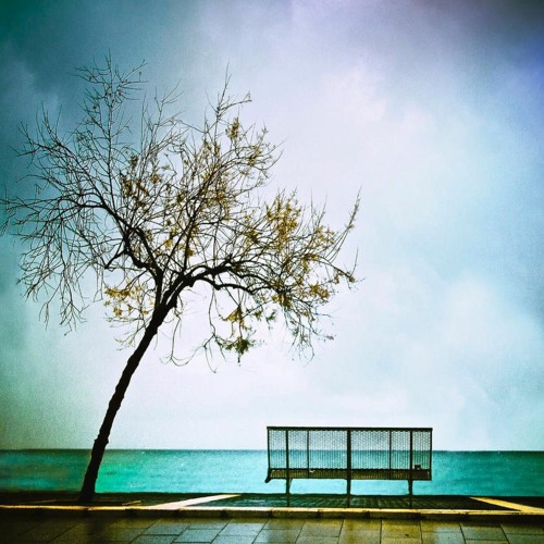 Empty Bench