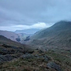 WHAT ARE THEY SAYING