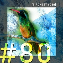 BIRDNEST #080 | Novus Mundus | Podcast by The Lahar