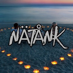 Zeeba - Tudo Que Importa ( Natank Remix )