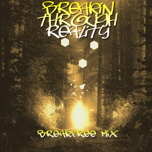 BREAKIN THROUGH REALITY BREAKFREE MIX