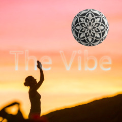 The Vibe V1