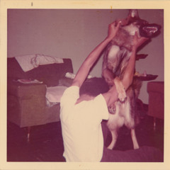 Nostrand (feat. billy woods)