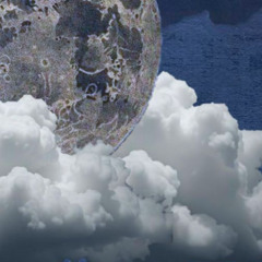 Bluchrist - idiot remix