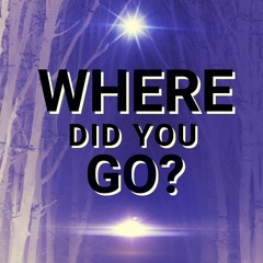 Where did you go