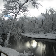 FIRING SQUAD W/ Kasean