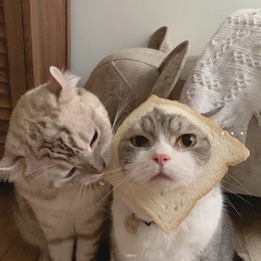 luvisintheair! +emotionals3k (emotionals) *on spotify*