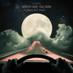 Lynnic - Where Are You Now (Amit Baz Remix)