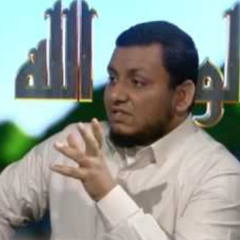 محمد إلهامي - قضية بيت المقدس وفلسطين