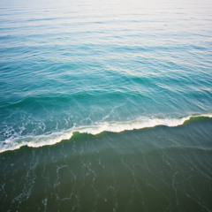 Walking where the water meets the shore