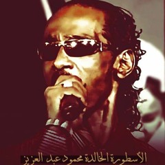 محمود عبدالعزيز الاميرة (حفل الضباط)