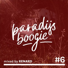 Paradijs Boogie Mix #6 - Mixed by Renard