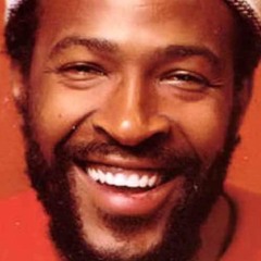 Marvin Gaye - Whats Going On (Stenwreth remix)