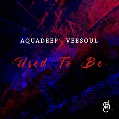 HSM PREMIERE | Aquadeep, Veesoul - Ready Or Not [Deep House Cats SA]