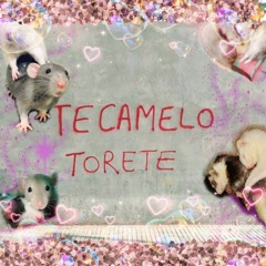 🤍 TEKAMELO TORETE 🤍