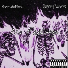 Bandoflex X Quanny Supreme - No Feelings