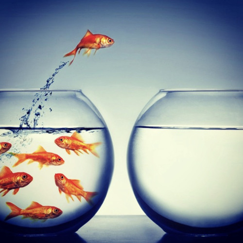 odbieraj to jak chcesz