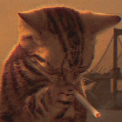 NEWBIE DUMP MIXTAPE Vol. 4