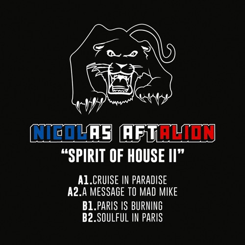 Nicolas Aftalion / Spirit Of House Nicolas Aftalion / Spirit Of House