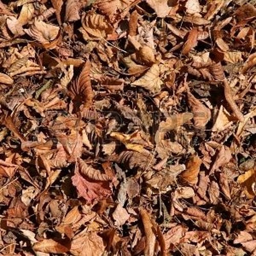 Stream Dead Leaves And The Dirty Ground Cover by thewarheads ...