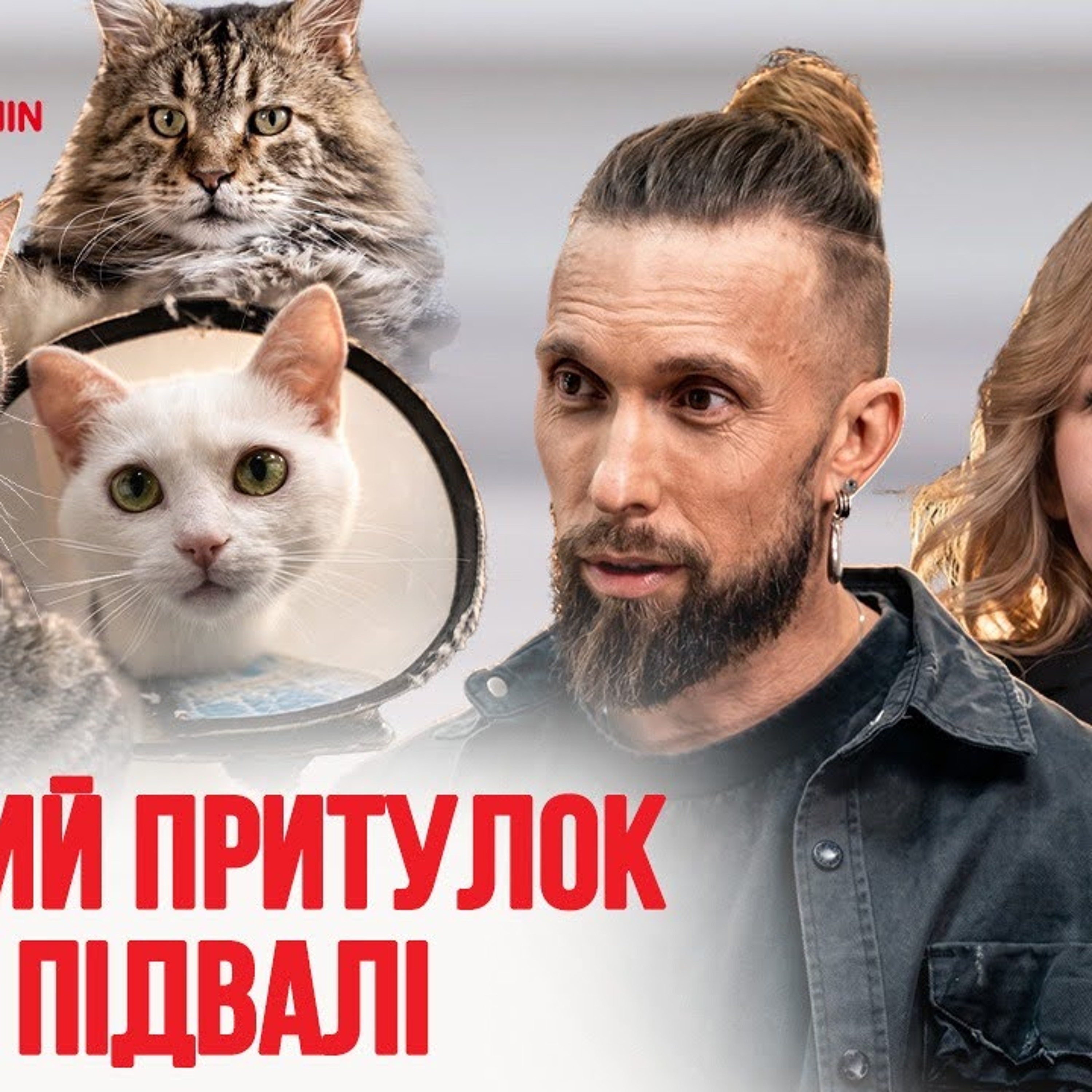 Евакуація безпритульних тварин, правильне харчування і догляд за котами: як працює котель в Ірпені episode artwork