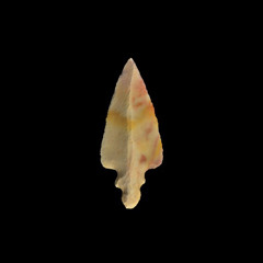 ARROWHEAD