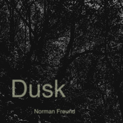 Dusk Movement 2