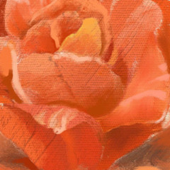 정바스 - Orange splash(cover)