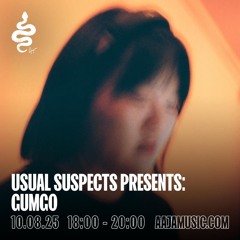 Usual Suspsects Presents: Gumgo - Aaja channel 1 - 10 08 25