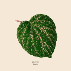 Quantic - Tropics (AUS200)