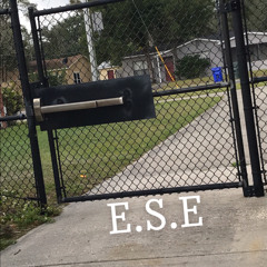 E.S.E