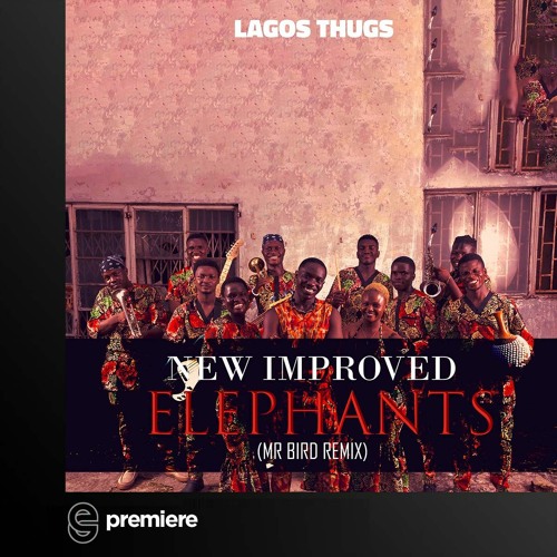 Premiere: Lagos Thugs - New Improved Elephants (Mr Bird Remix) - Tangential Music