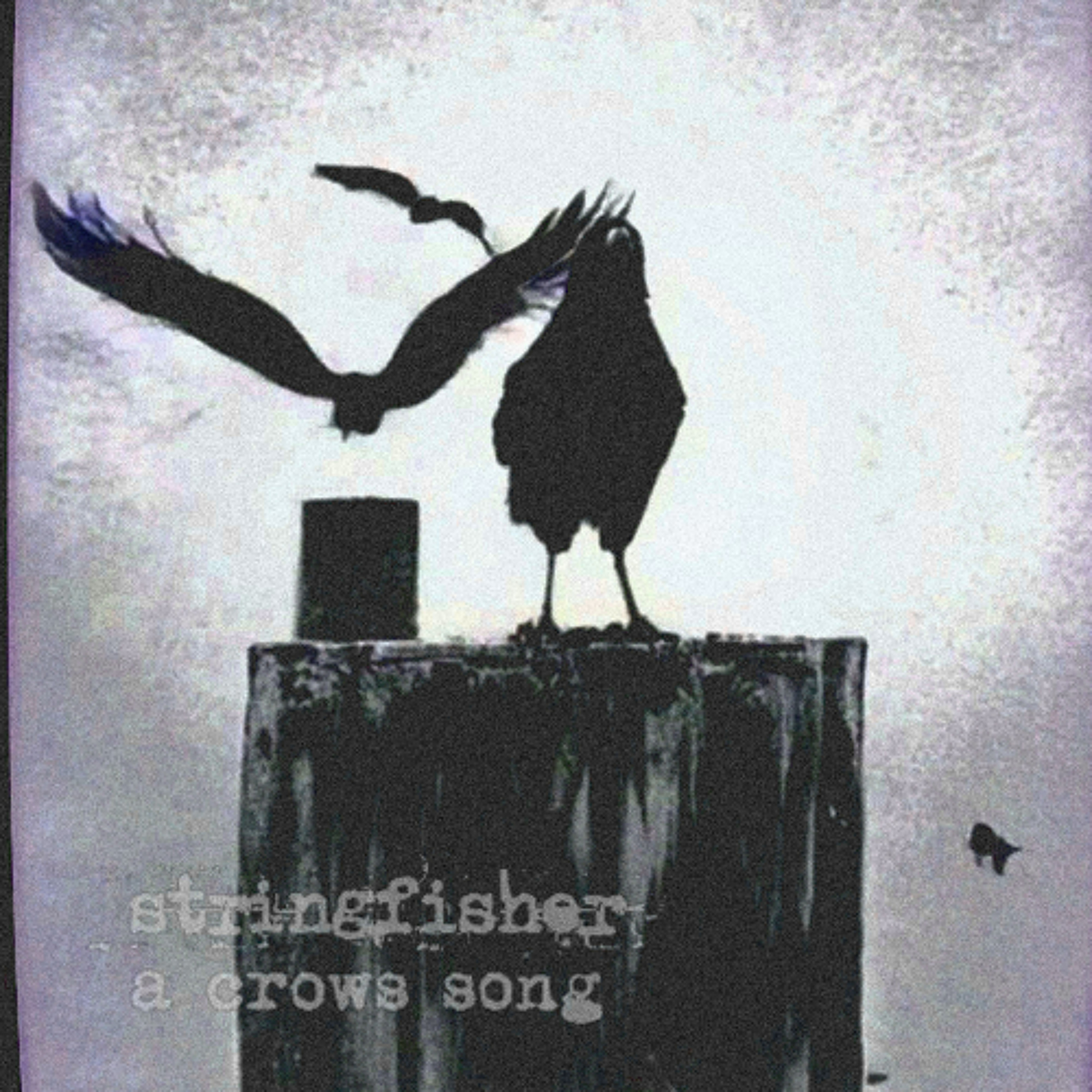 A Crows Song episode artwork