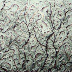 Confinement #2 Rainy Day