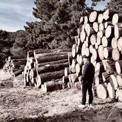 VOID Sessions: AeFe Autumn Digital x Vinyl