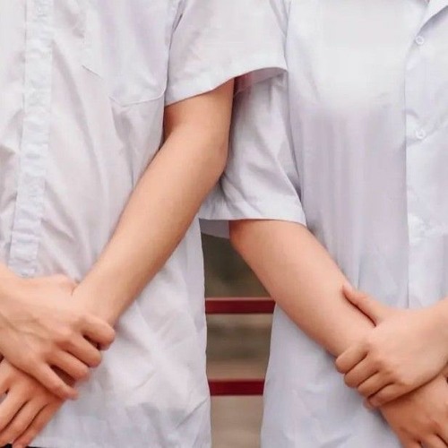 thứ mà 1 con bò sẽ nghe