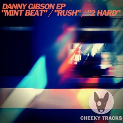 Danny Gibson EP - Mint Beat - OUT NOW