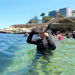 Best Where To Snorkel In La Jolla Prices Reviews