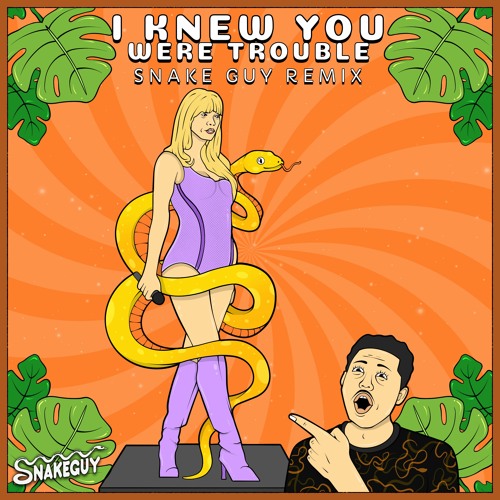 Taylor Swift - I Knew You Were Trouble (Snake Guy Remix) [FREE DOWNLOAD]