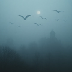 Phantoms