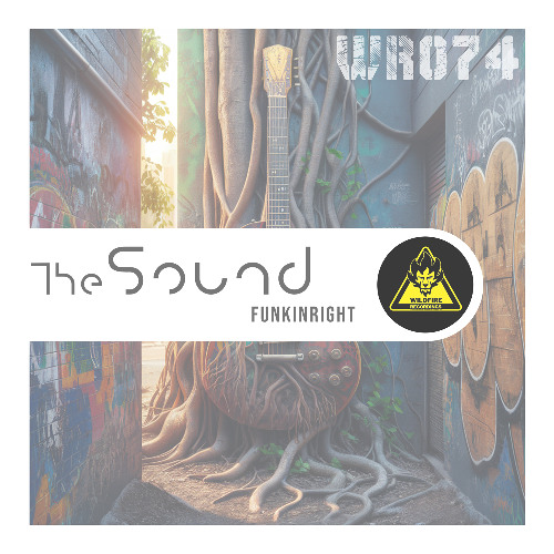 FunkinRight - The Sound (Out Jan 24, 2025)