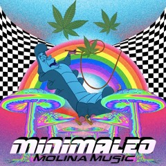 MOLINA.MUSIC PODCAST# 7/ MINIMALEO/02/08/21