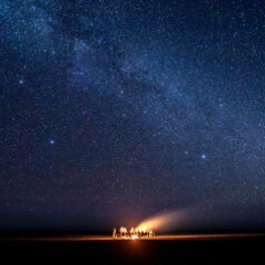 Canopy of Stars