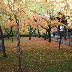 Dancing Leaves