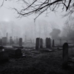 comboy anthem ft reborn