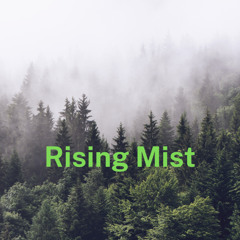 Rising Mist - Banjo + Fiddle Acoustic Liquid DnB
