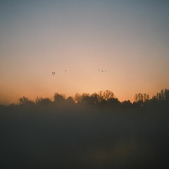 Untitled 08112021