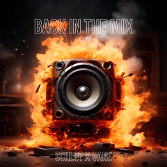 Back In The Mix - Schlot x vANE