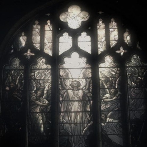 мрак (wixxy)