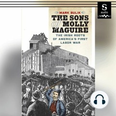 The Sons of Molly Maguire by Mark Bulik, Narrated by Josh Innerst